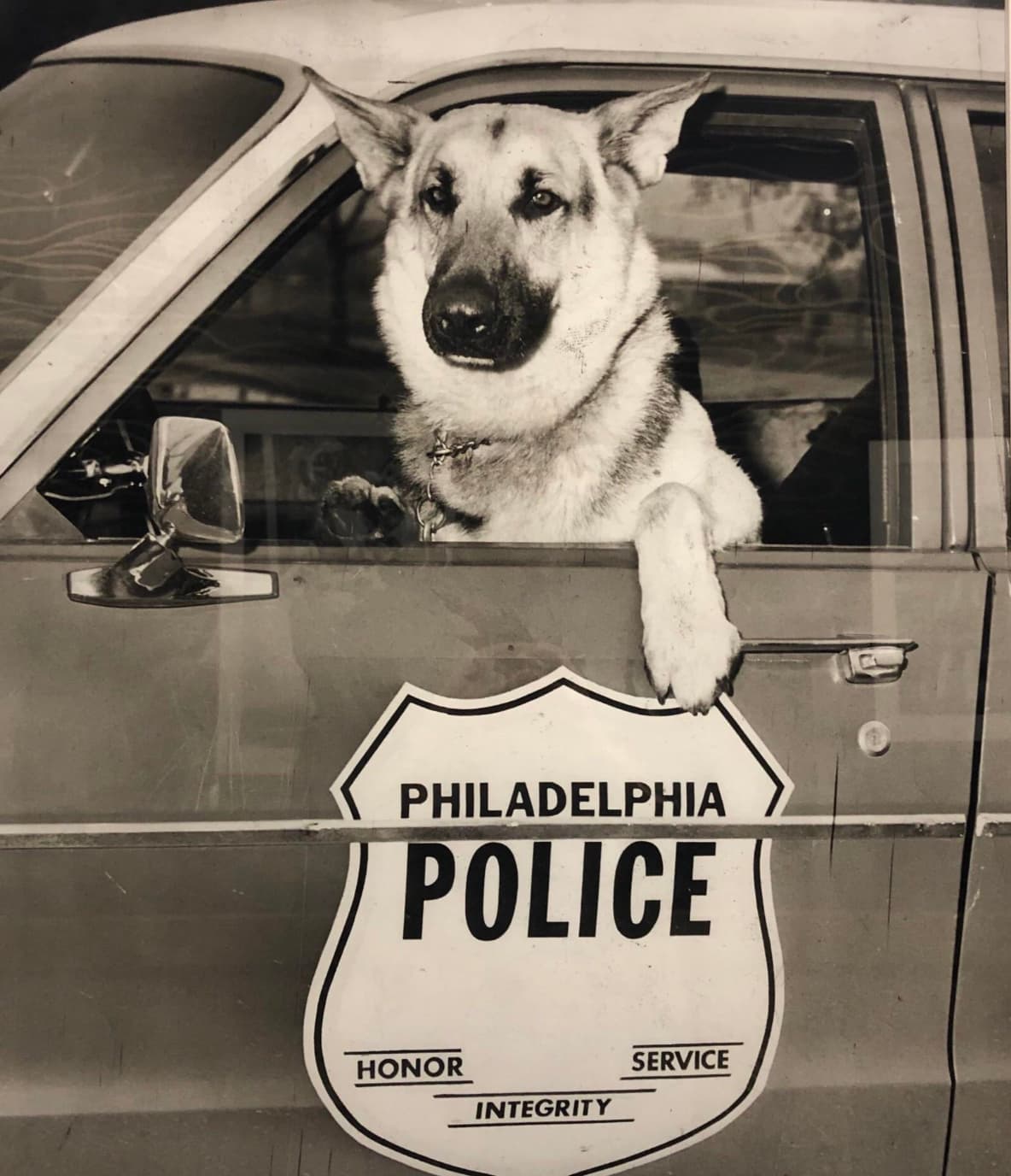 guard dog - Philadelphia Police Honor Integrity Service